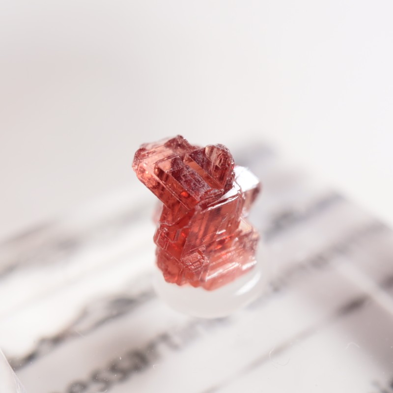 �֥饸�뻺 ���ڥ���ƥ��󥬡��ͥå�