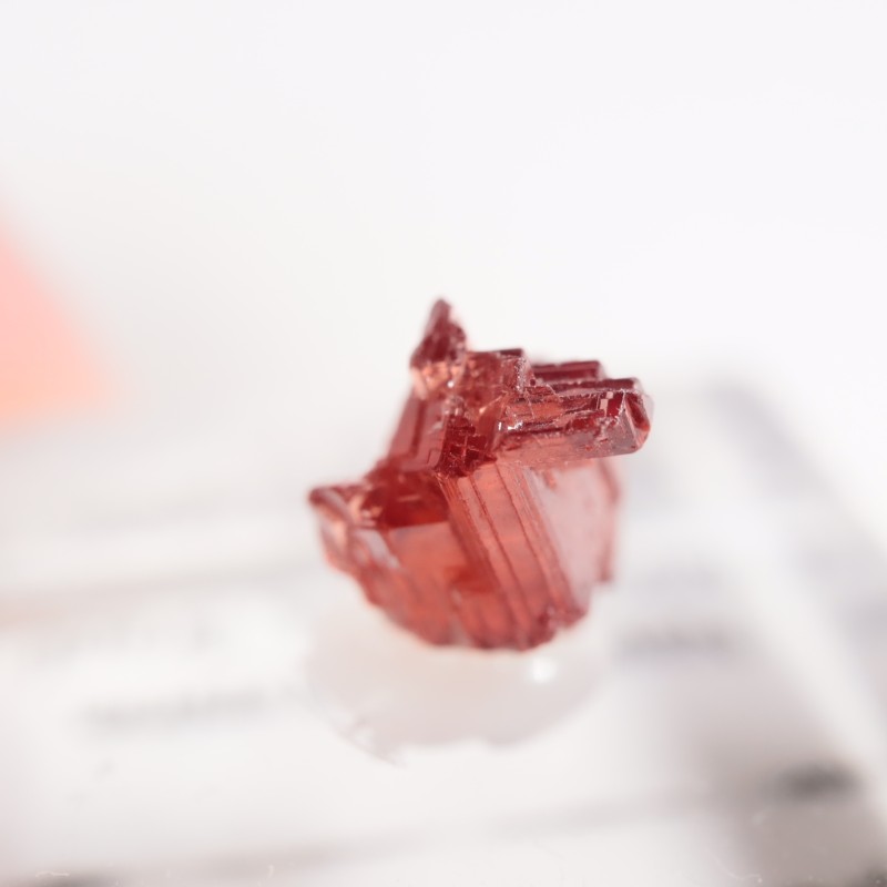 �֥饸�뻺 ���ڥ���ƥ��󥬡��ͥå�