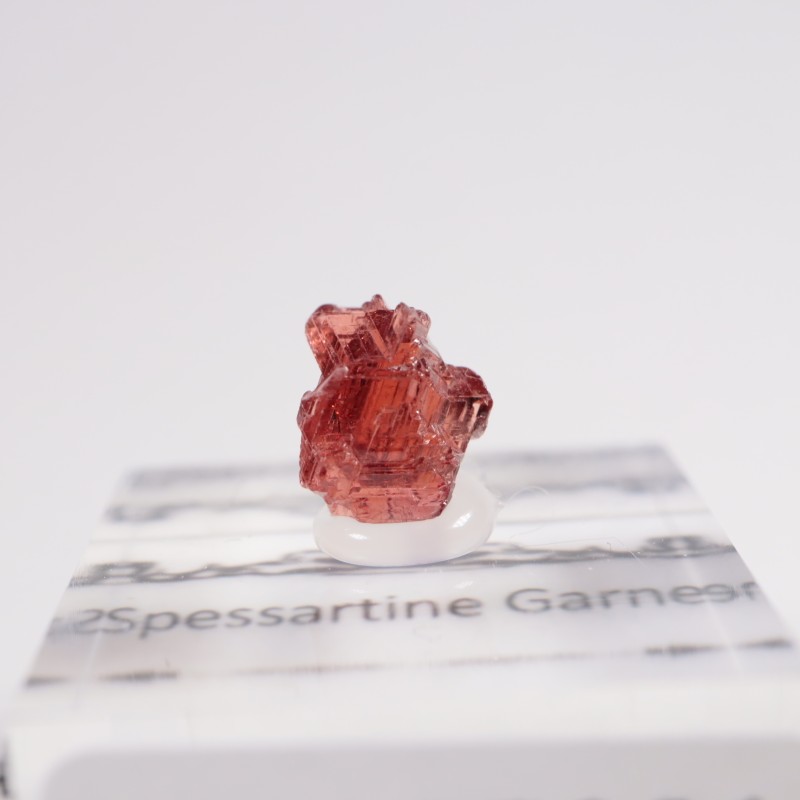 �֥饸�뻺 ���ڥ���ƥ��󥬡��ͥå�