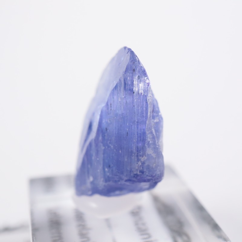 ����˥ҥ륺�������󥶥ʥ���