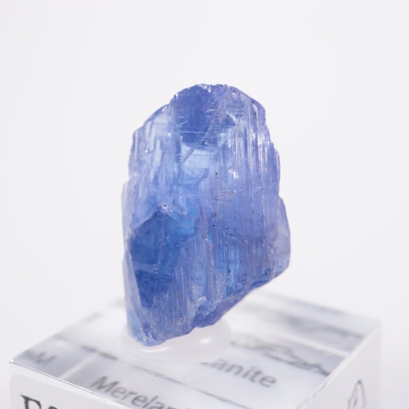 ����˥ҥ륺�������󥶥ʥ���