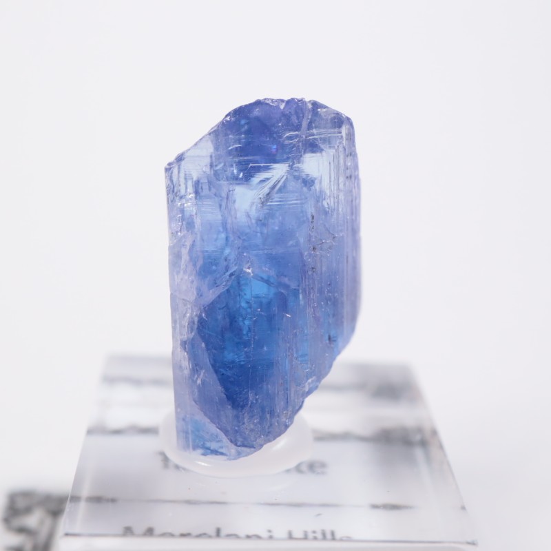 ����˥ҥ륺�������󥶥ʥ���