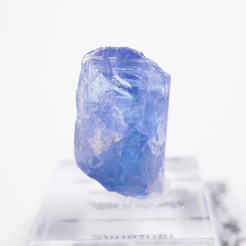 ����˥ҥ륺�������󥶥ʥ���