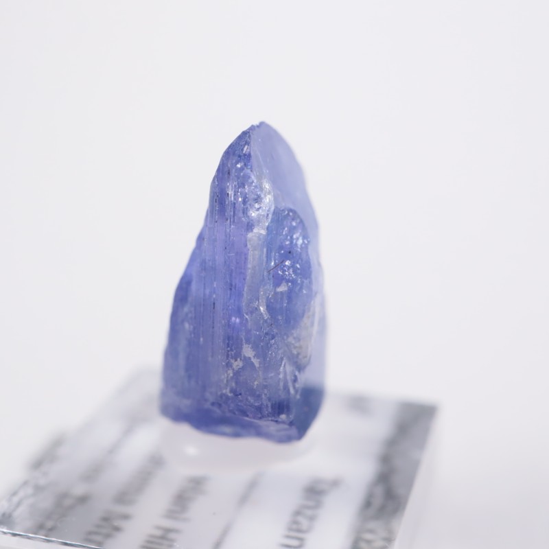 ����˥ҥ륺�������󥶥ʥ���