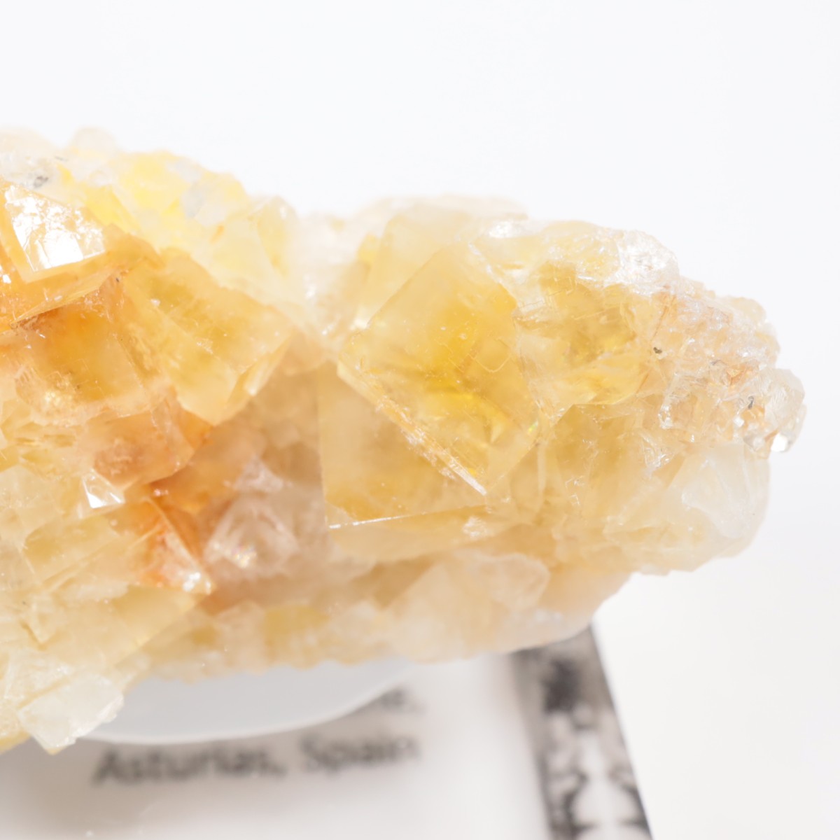 �⥹���ʹۻ��� �ե����饤��