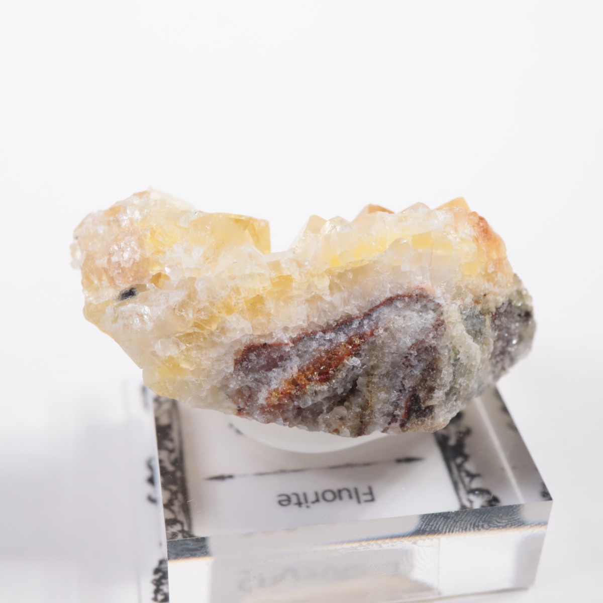 �⥹���ʹۻ��� �ե����饤��