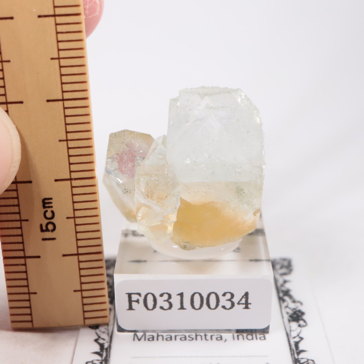 ����ɻ� ���ݥե��饤��