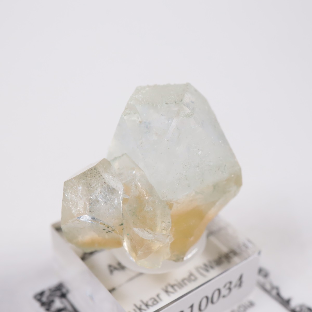 ����ɻ� ���ݥե��饤��