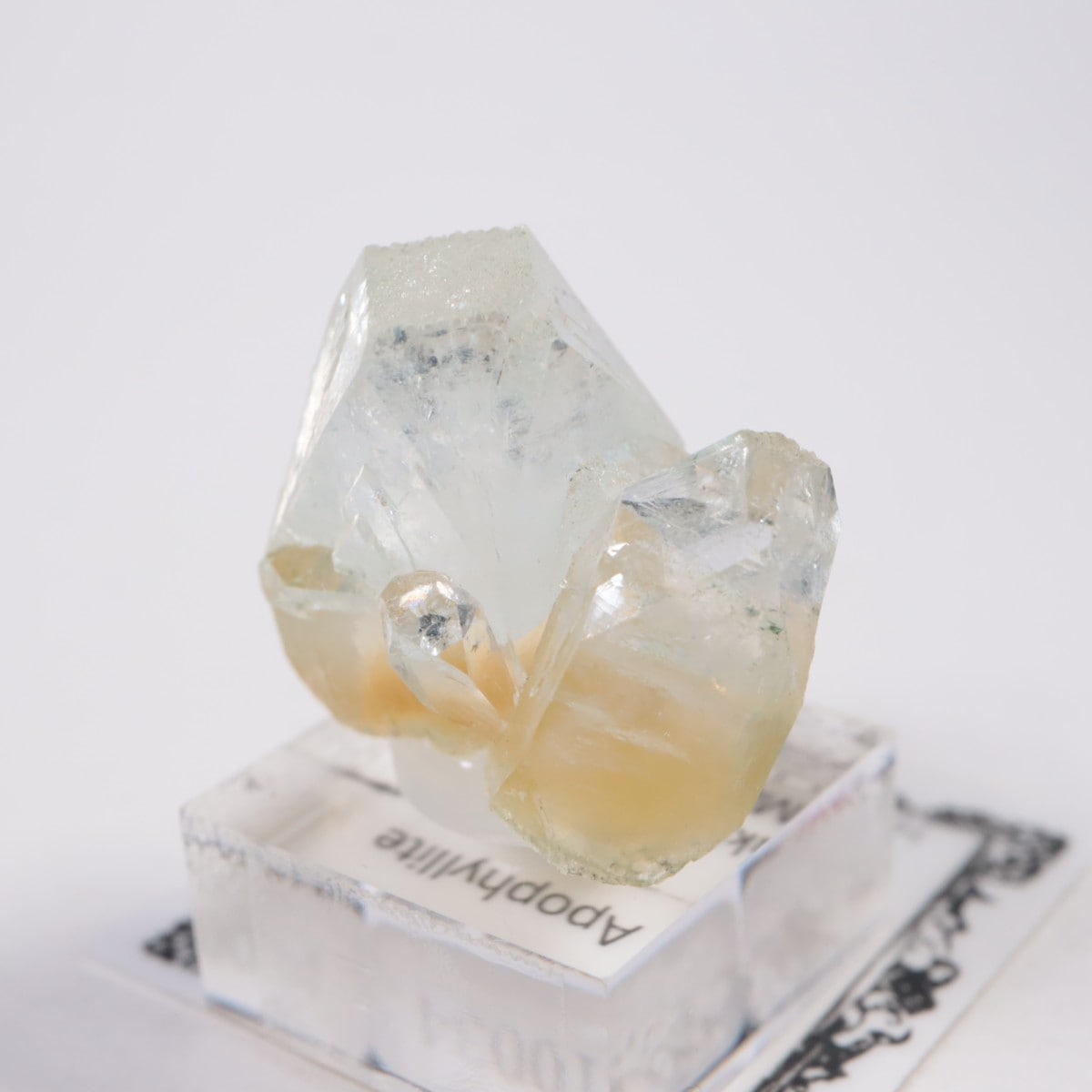 ����ɻ� ���ݥե��饤��