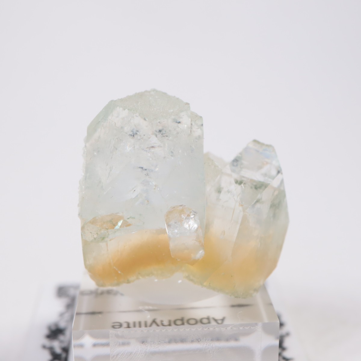 ����ɻ� ���ݥե��饤��