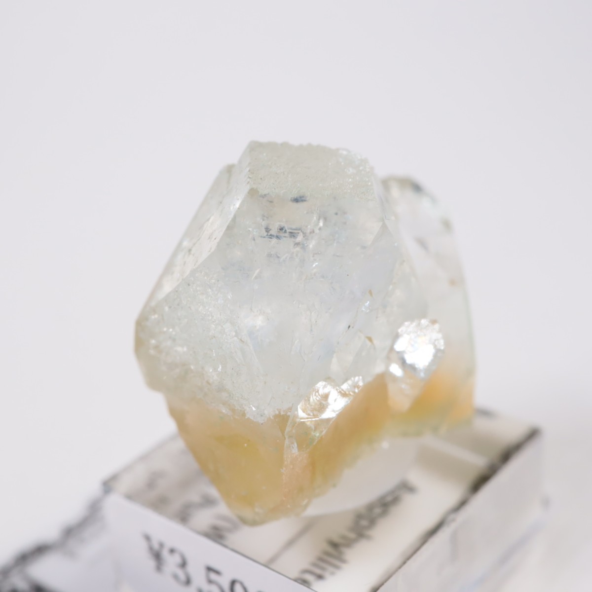 ����ɻ� ���ݥե��饤��