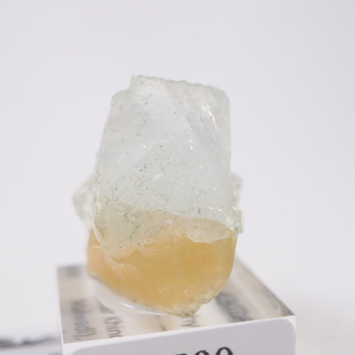 ����ɻ� ���ݥե��饤��