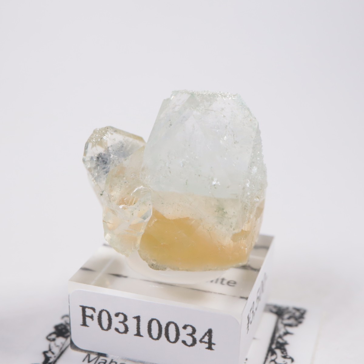 ����ɻ� ���ݥե��饤��