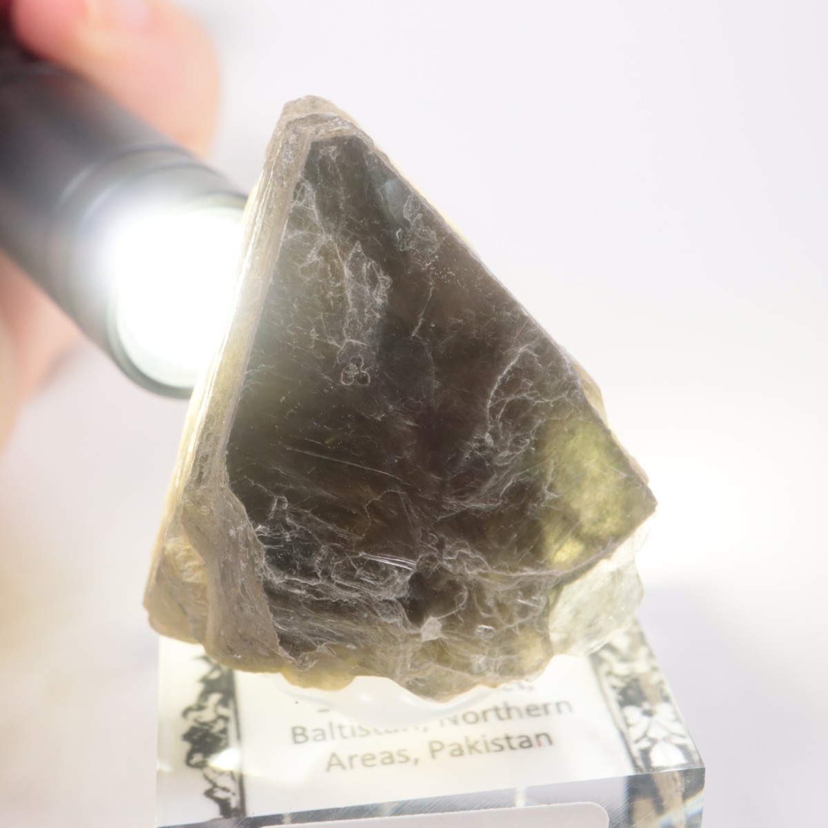 �ѥ������� �����