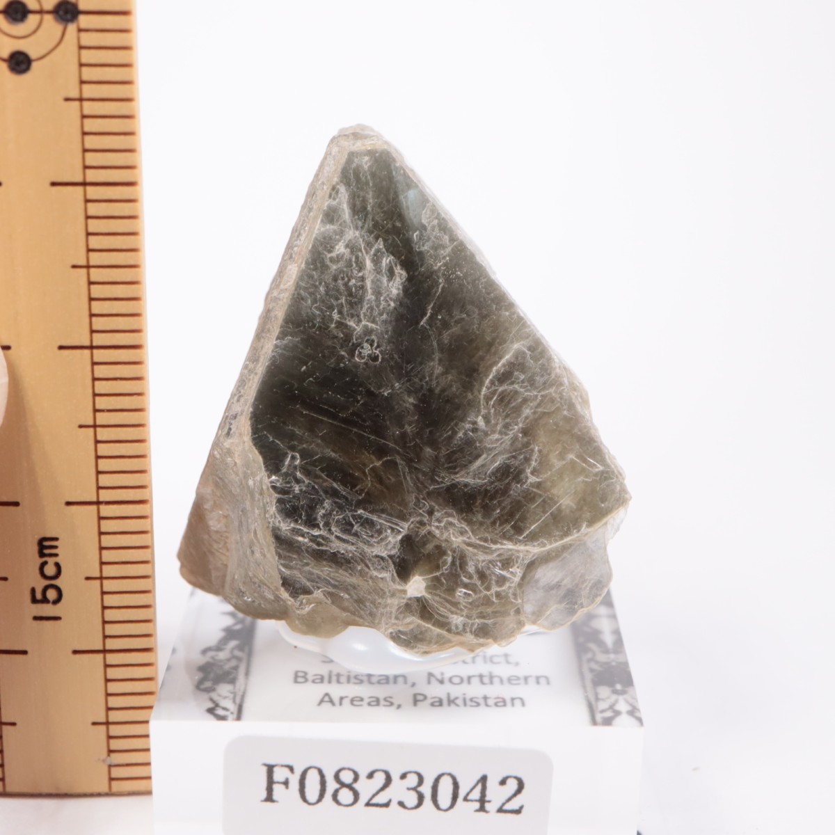 �ѥ������� �����