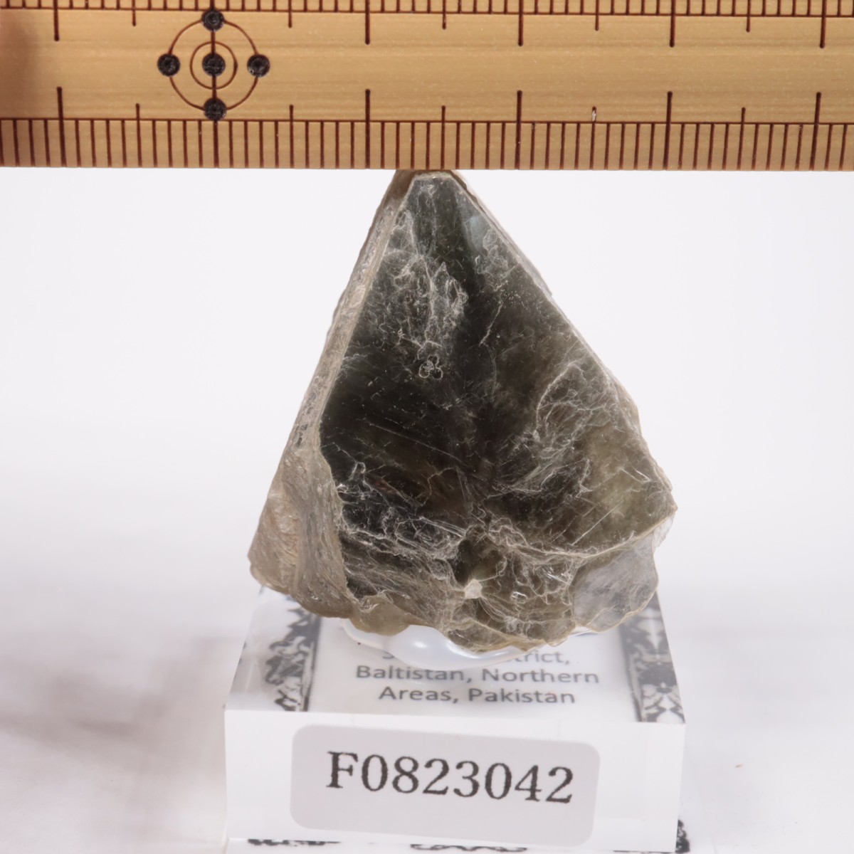 �ѥ������� �����