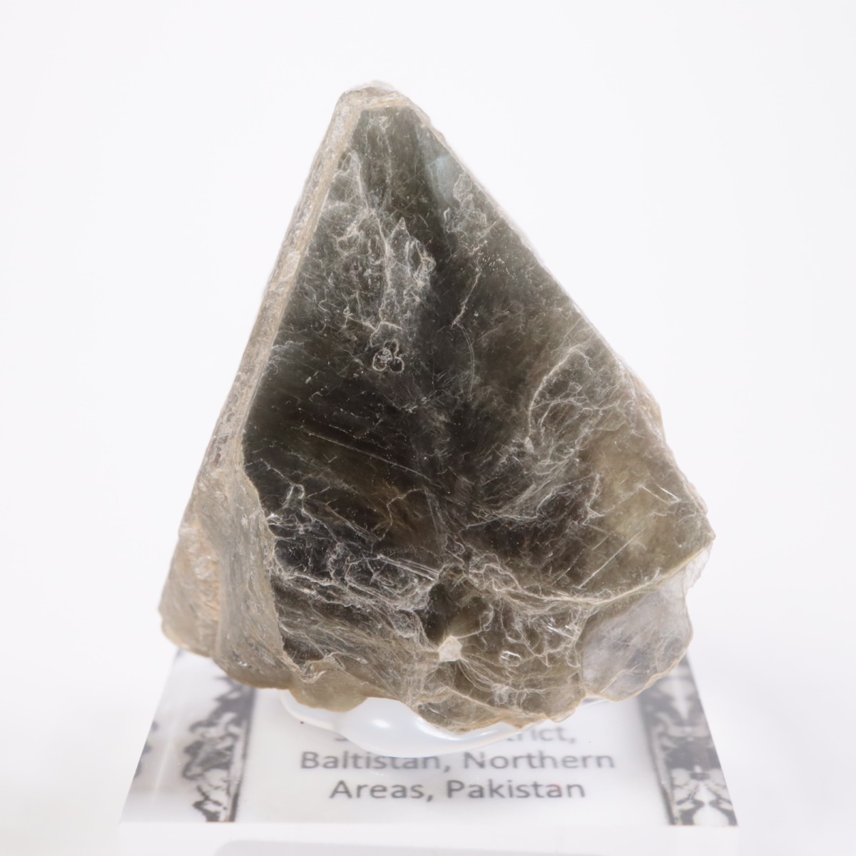 �ѥ������� �����