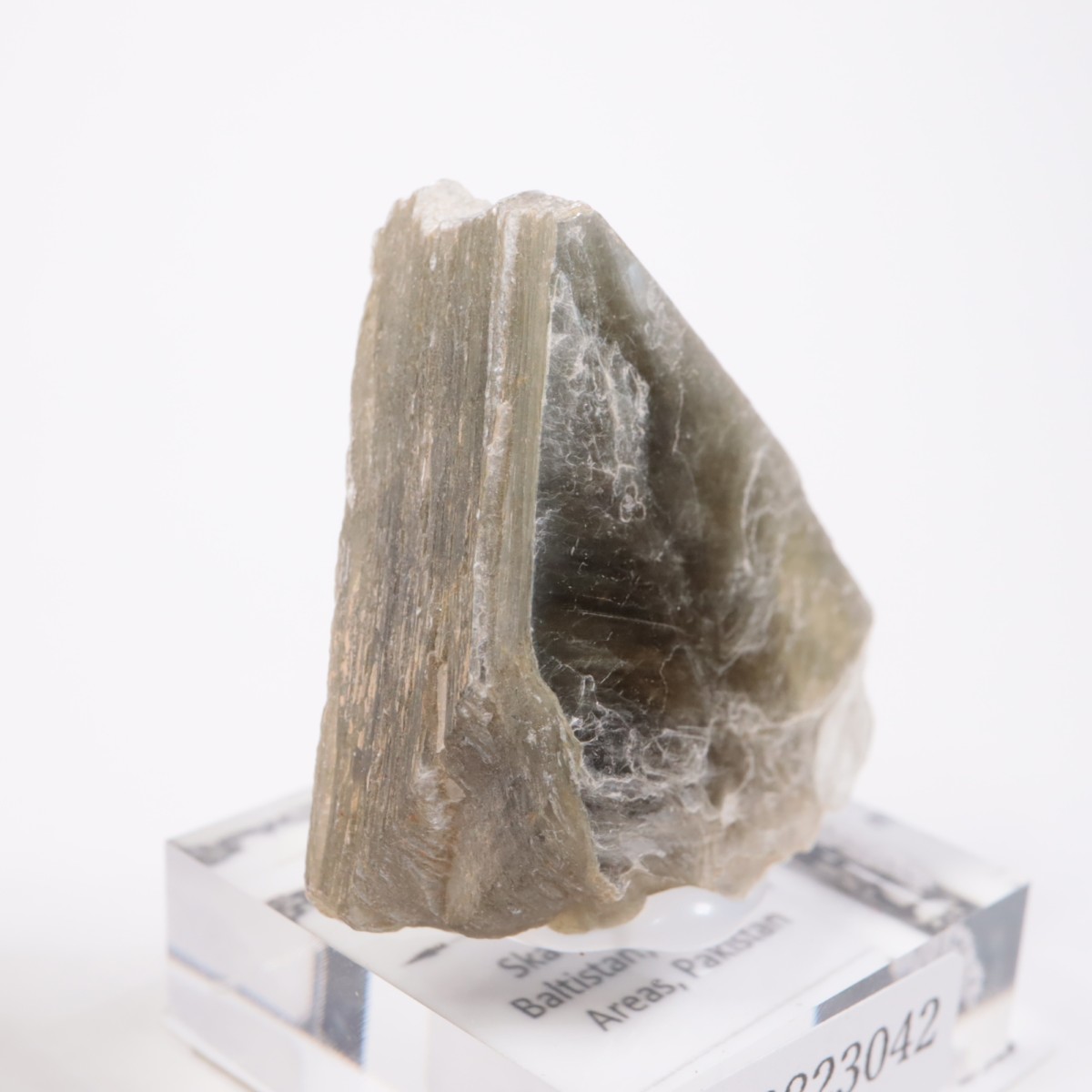 �ѥ������� �����