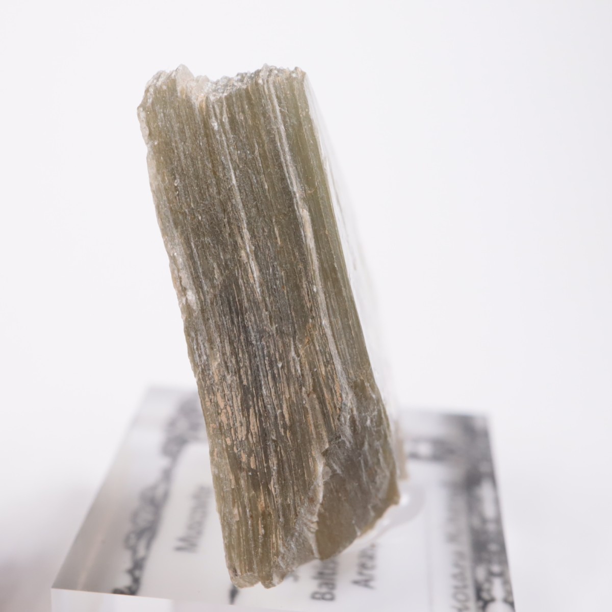 �ѥ������� �����