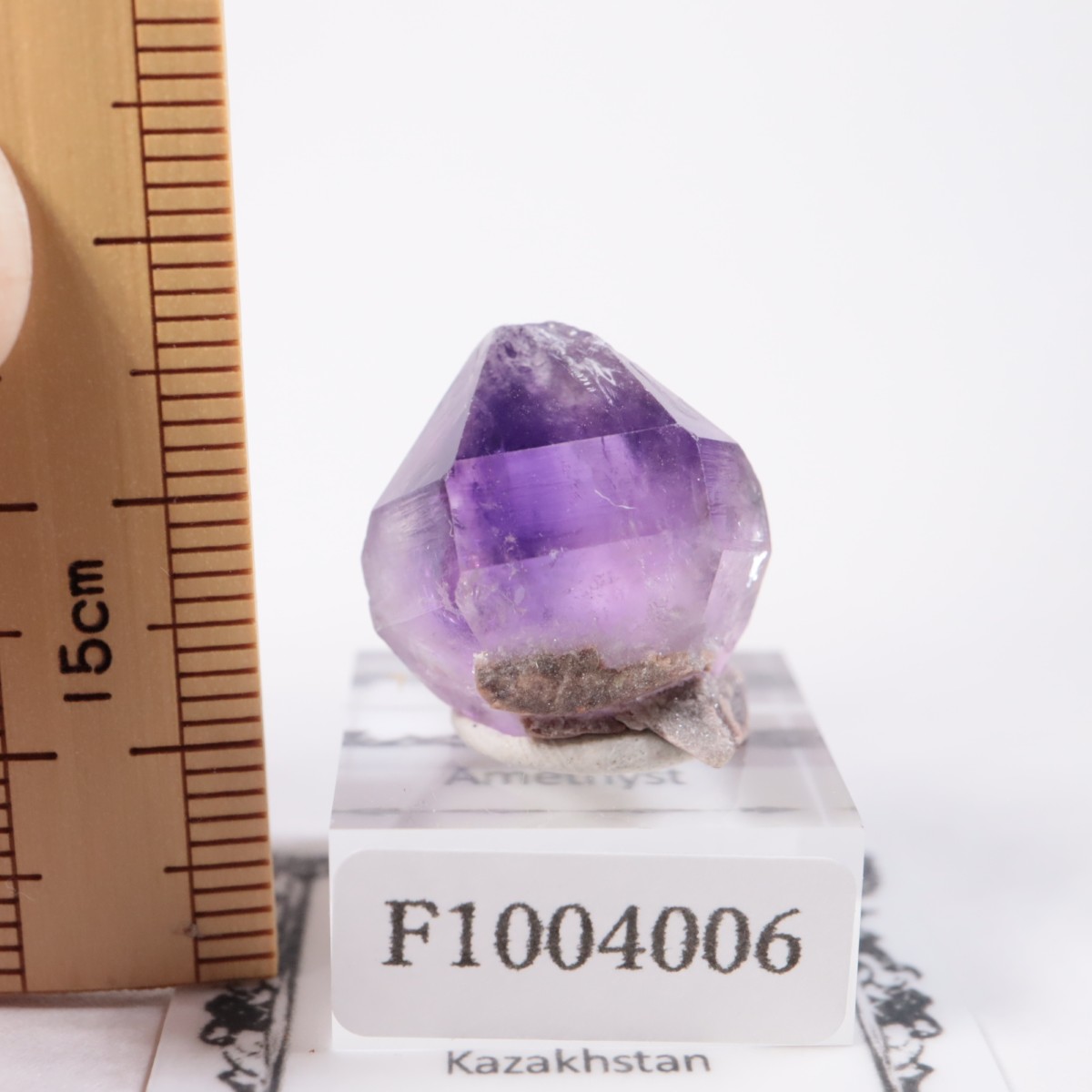 �����ե����� ���᥷����