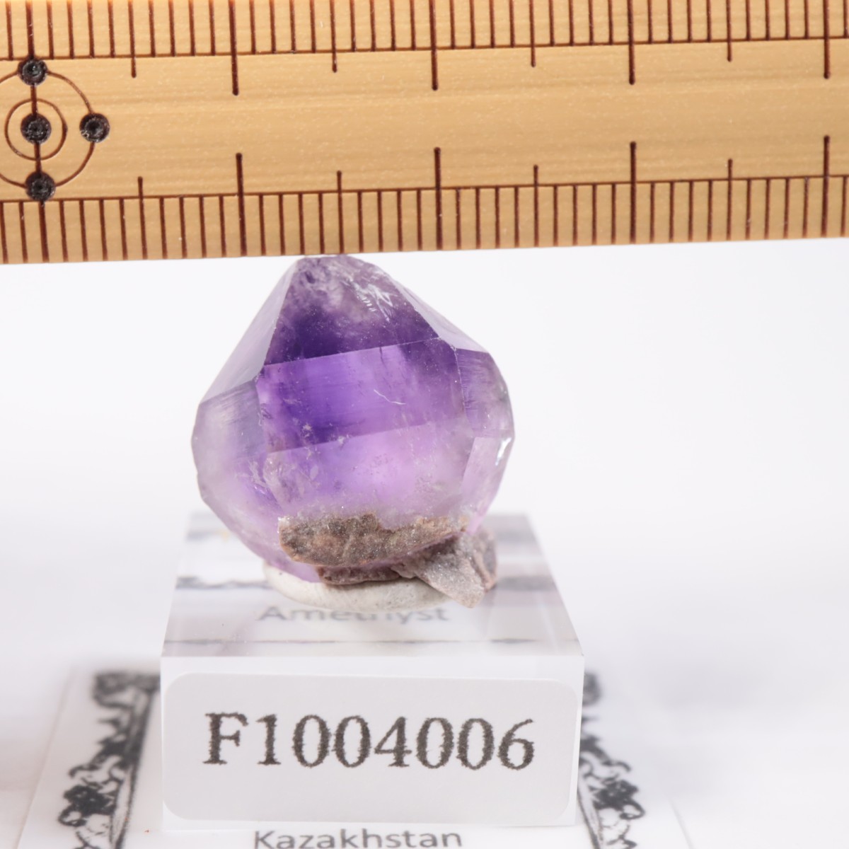 �����ե����� ���᥷����