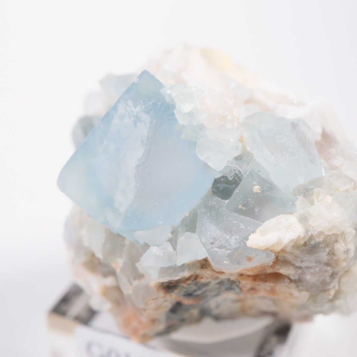 �˥塼�ᥭ�������� �ե����饤��