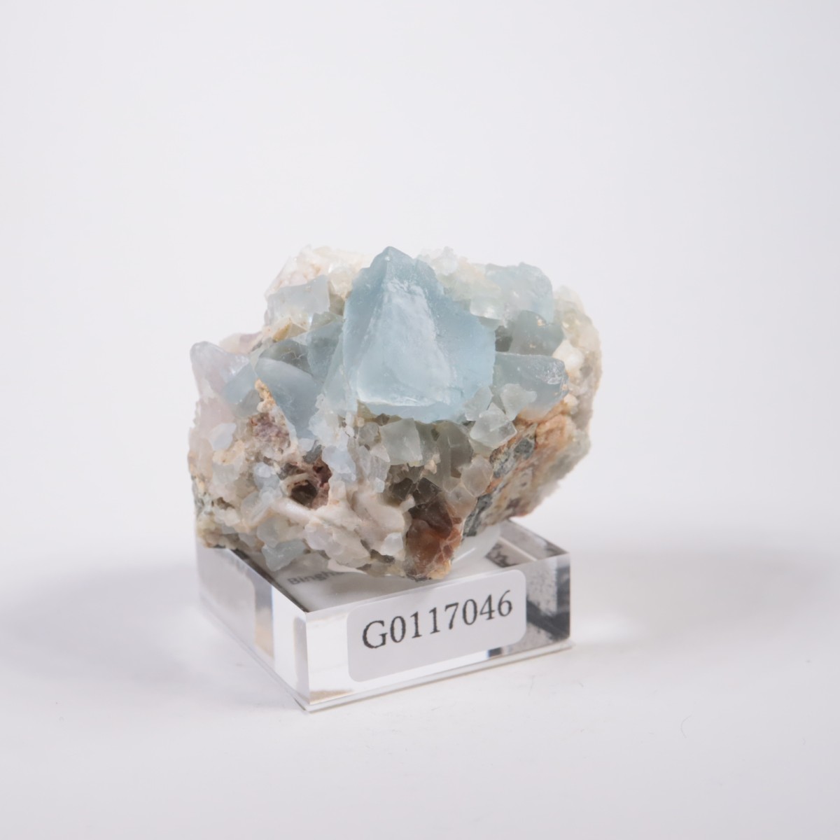 �˥塼�ᥭ�������� �ե����饤��