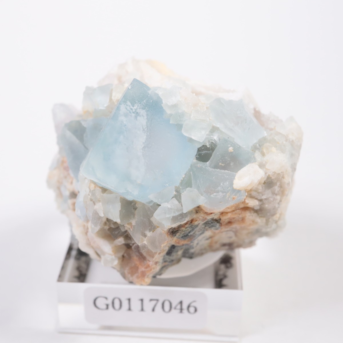 �˥塼�ᥭ�������� �ե����饤��