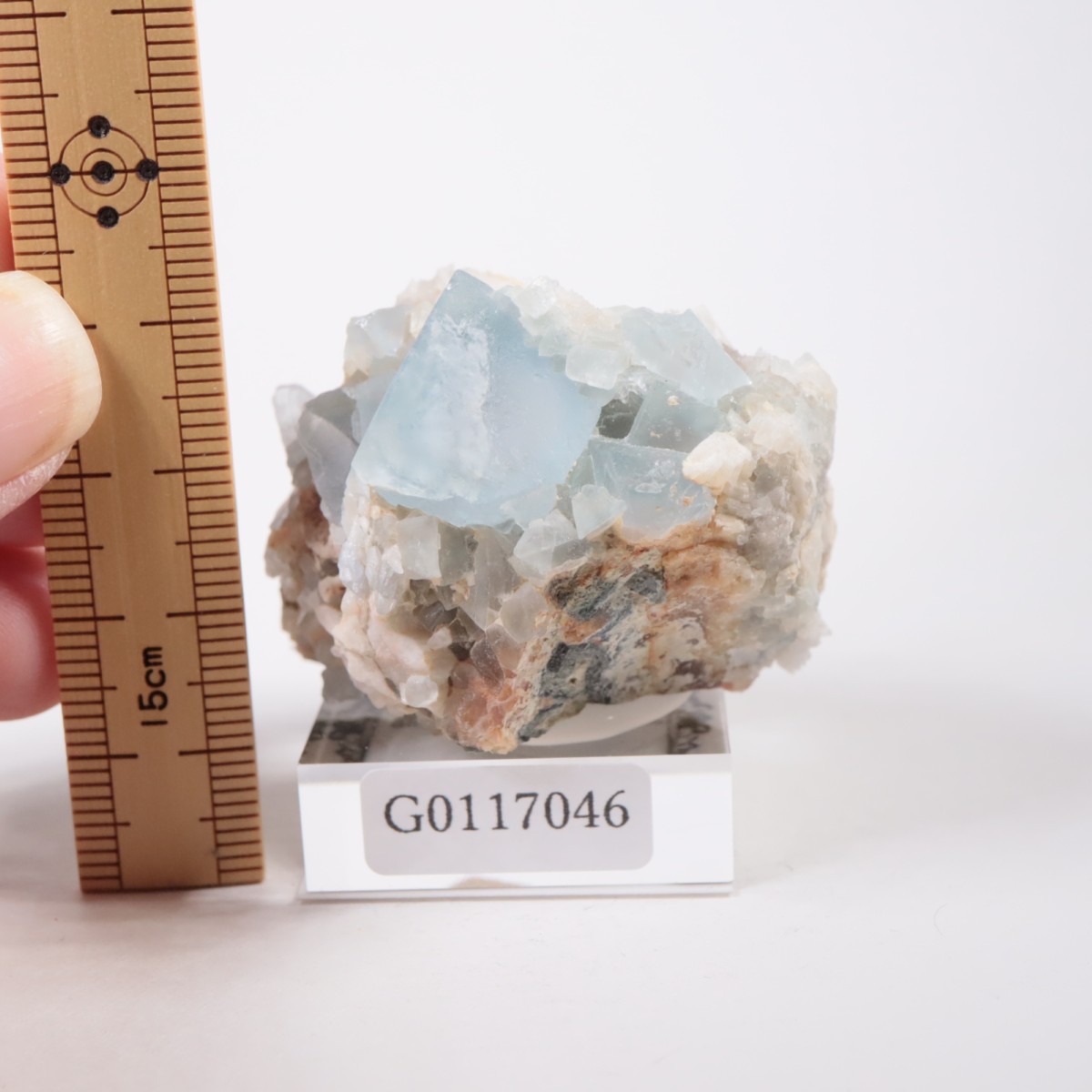 �˥塼�ᥭ�������� �ե����饤��