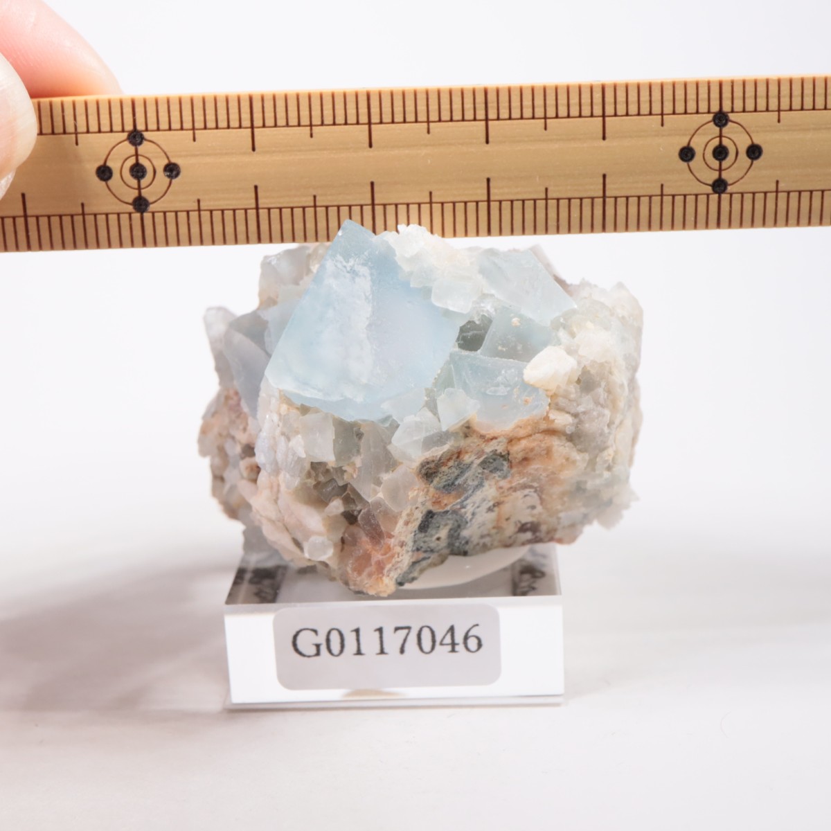 �˥塼�ᥭ�������� �ե����饤��