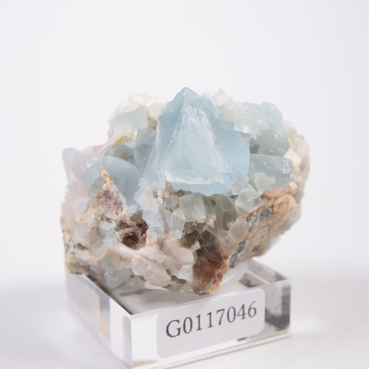 �˥塼�ᥭ�������� �ե����饤��