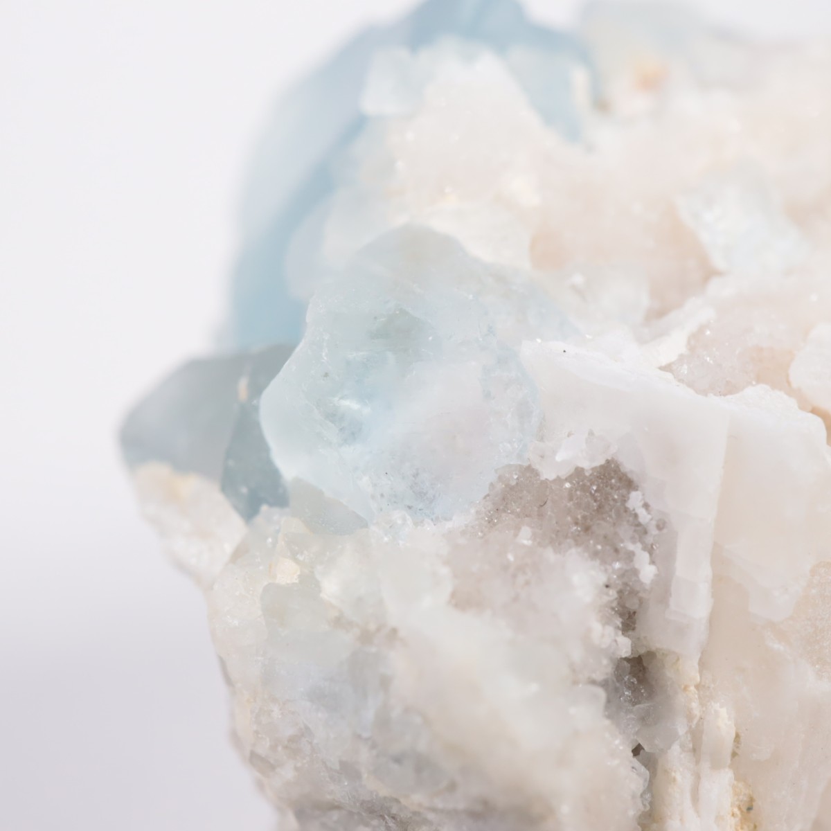 �˥塼�ᥭ�������� �ե����饤��