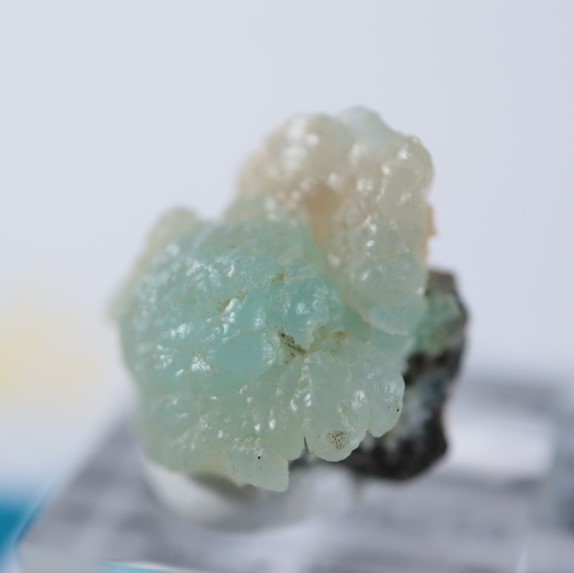 ����ꥫ�������ߥ��ʥ���