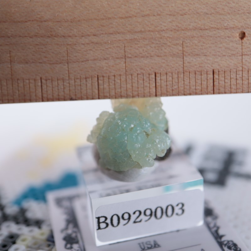 ����ꥫ�������ߥ��ʥ���