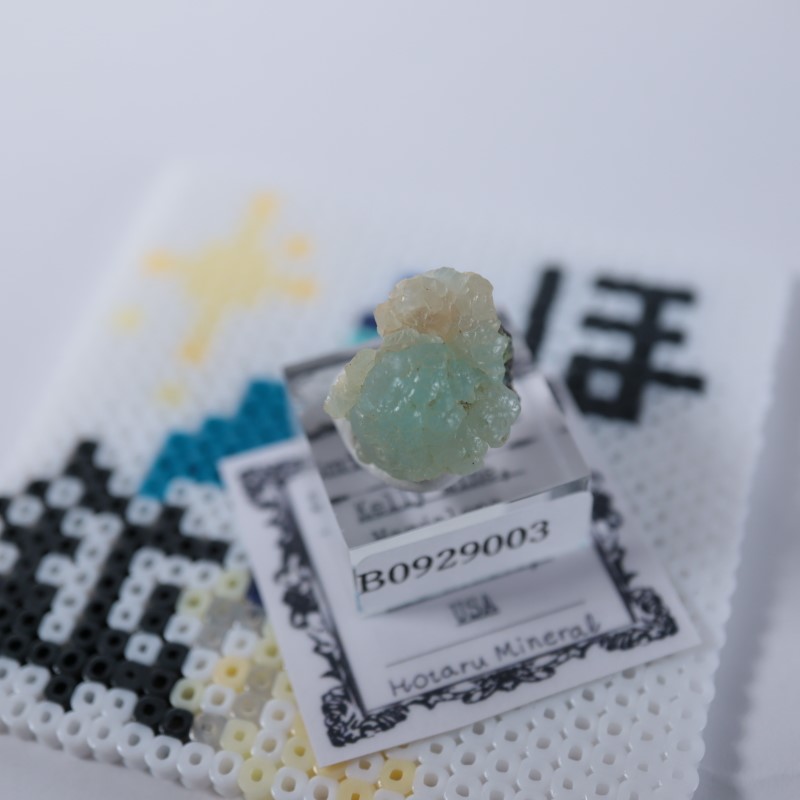 ����ꥫ�������ߥ��ʥ���