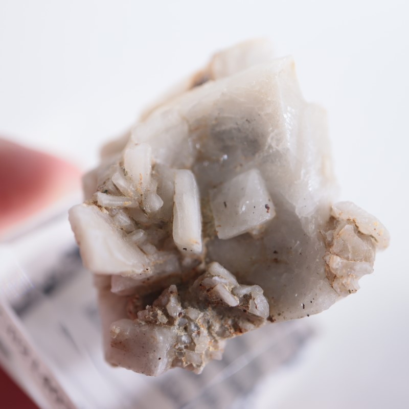 ����ꥫ�������ץ���