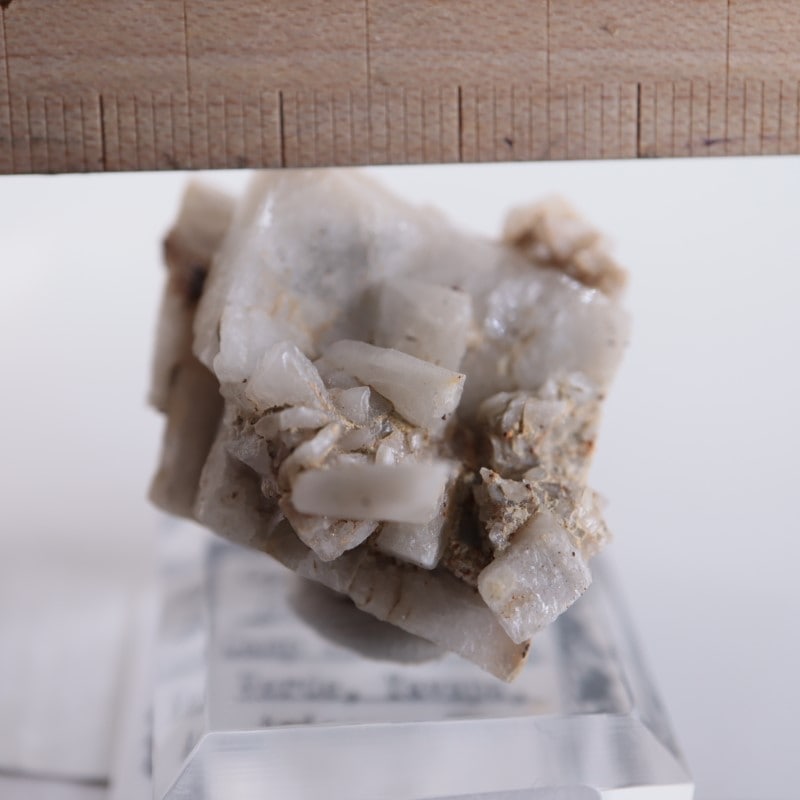 ����ꥫ�������ץ���