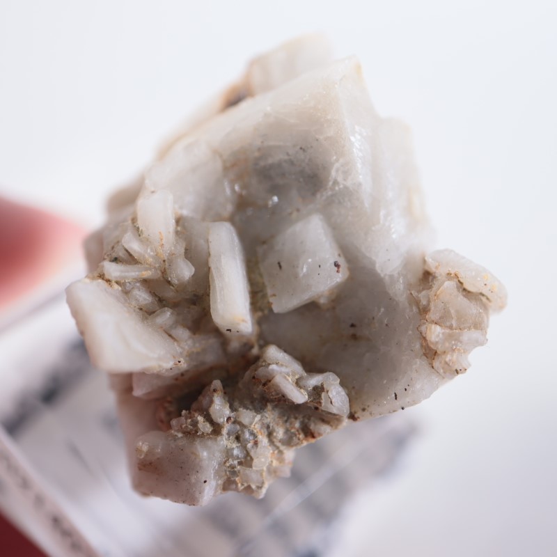 ����ꥫ�������ץ���