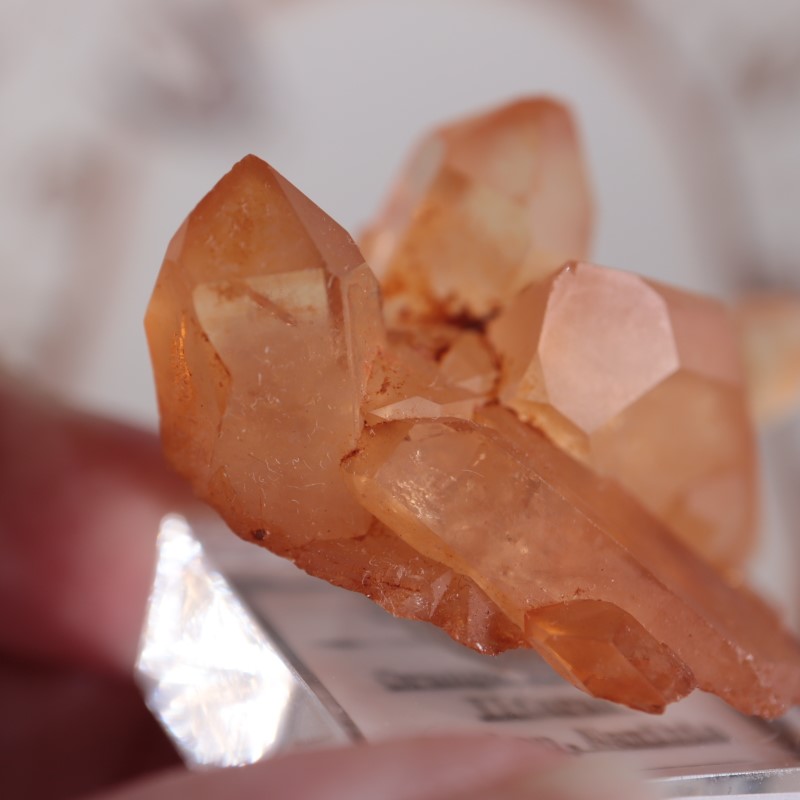 オレンジリバー水晶 | 鉱物標本,カ行,クォーツ/水晶 | ほたるみねらる