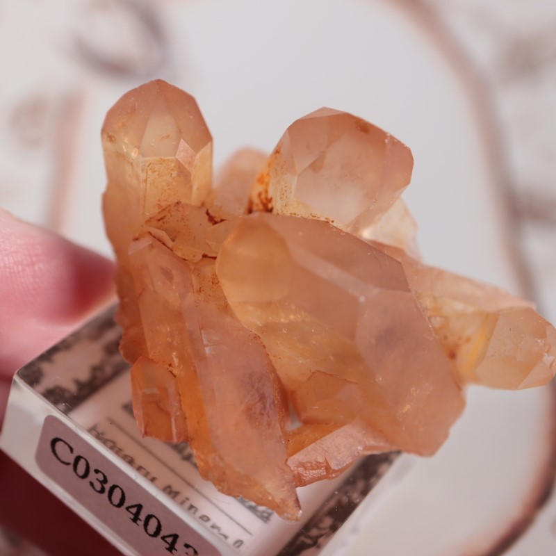 オレンジリバー水晶 | 鉱物標本,カ行,クォーツ/水晶 | ほたるみねらる