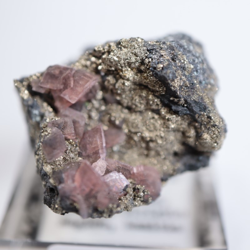 �ĥ�ֹۻ������ߥ��ʥ���