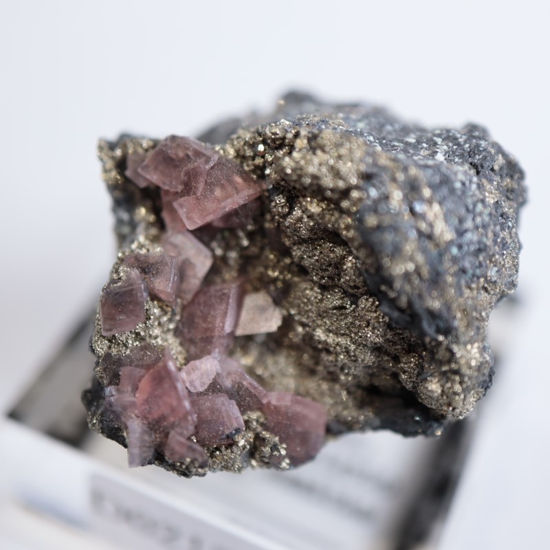 �ĥ�ֹۻ������ߥ��ʥ���