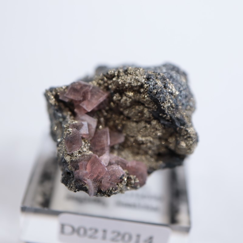 �ĥ�ֹۻ������ߥ��ʥ���