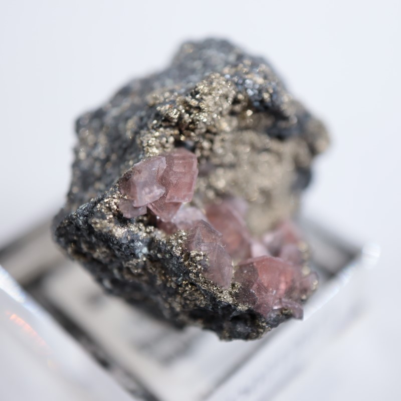 �ĥ�ֹۻ������ߥ��ʥ���