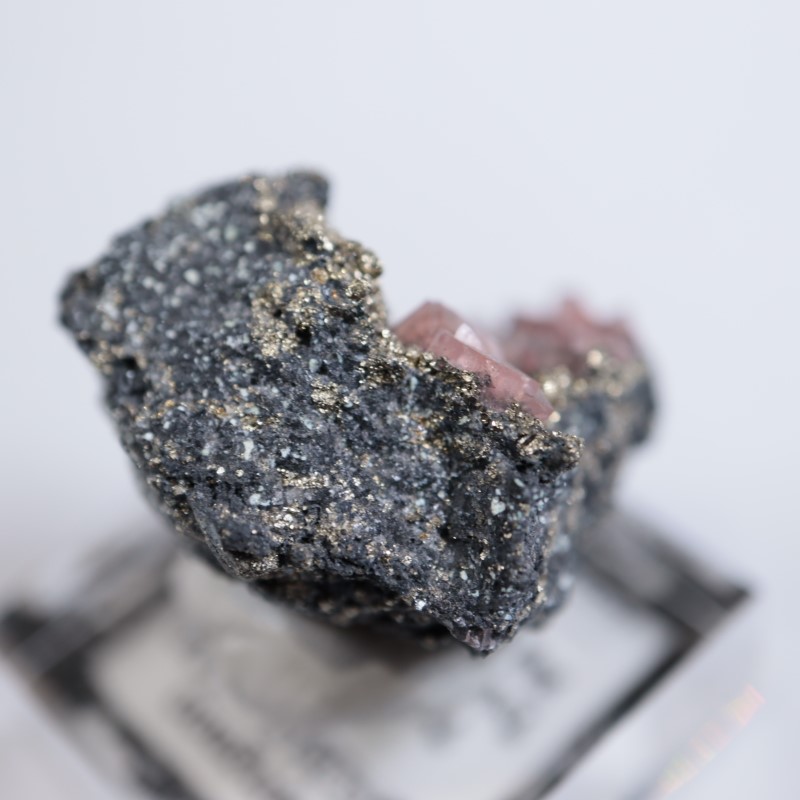 �ĥ�ֹۻ������ߥ��ʥ���