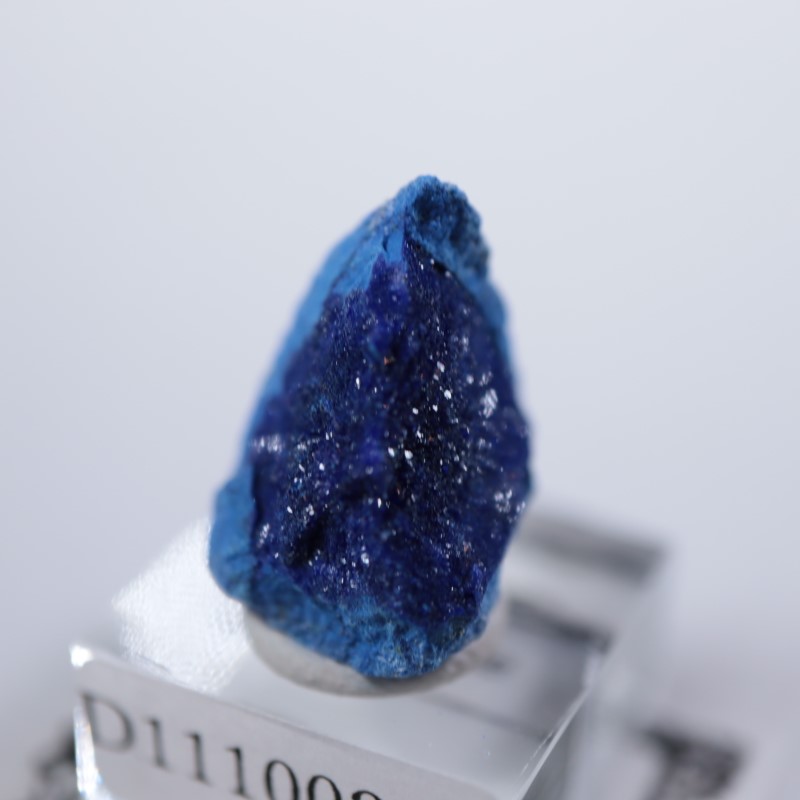 ����뻺�������饤��