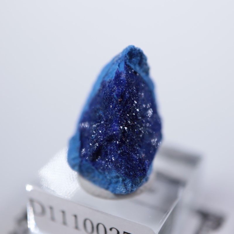 ����뻺�������饤��