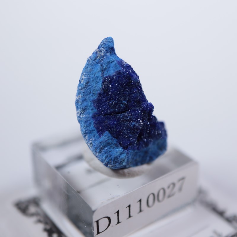 ����뻺�������饤��