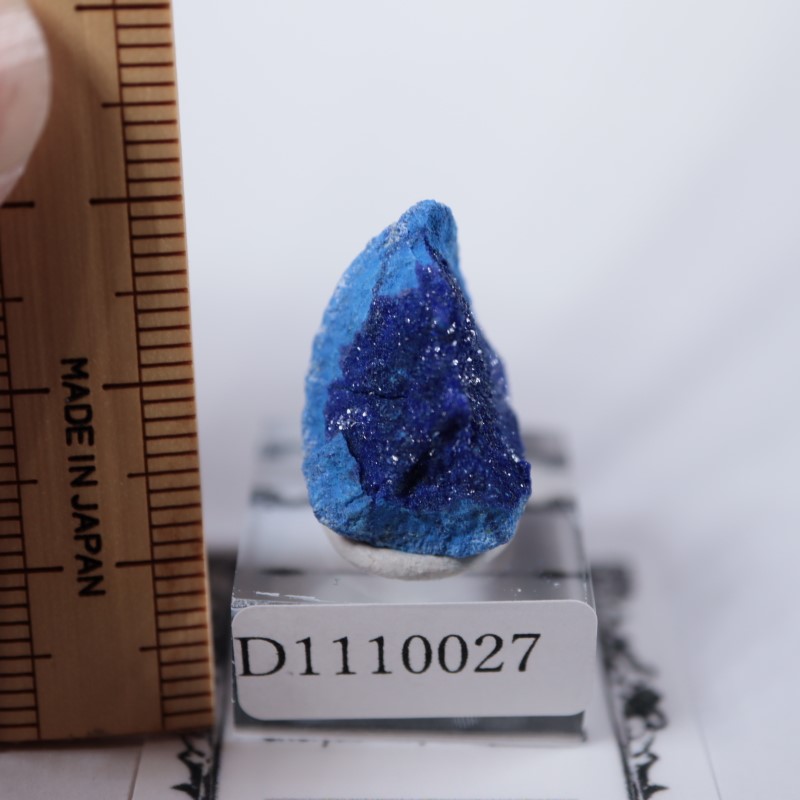 ����뻺�������饤��