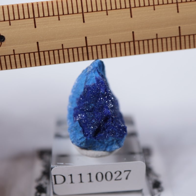 ����뻺�������饤��